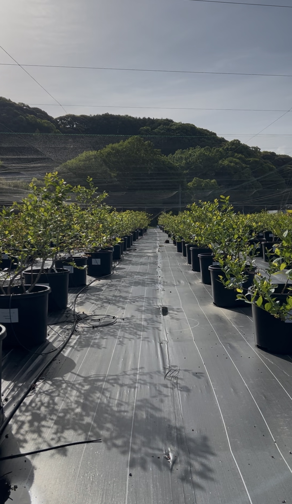 #13 “好き”だけじゃ続かない。でも、“好き”がなきゃ始まらない”