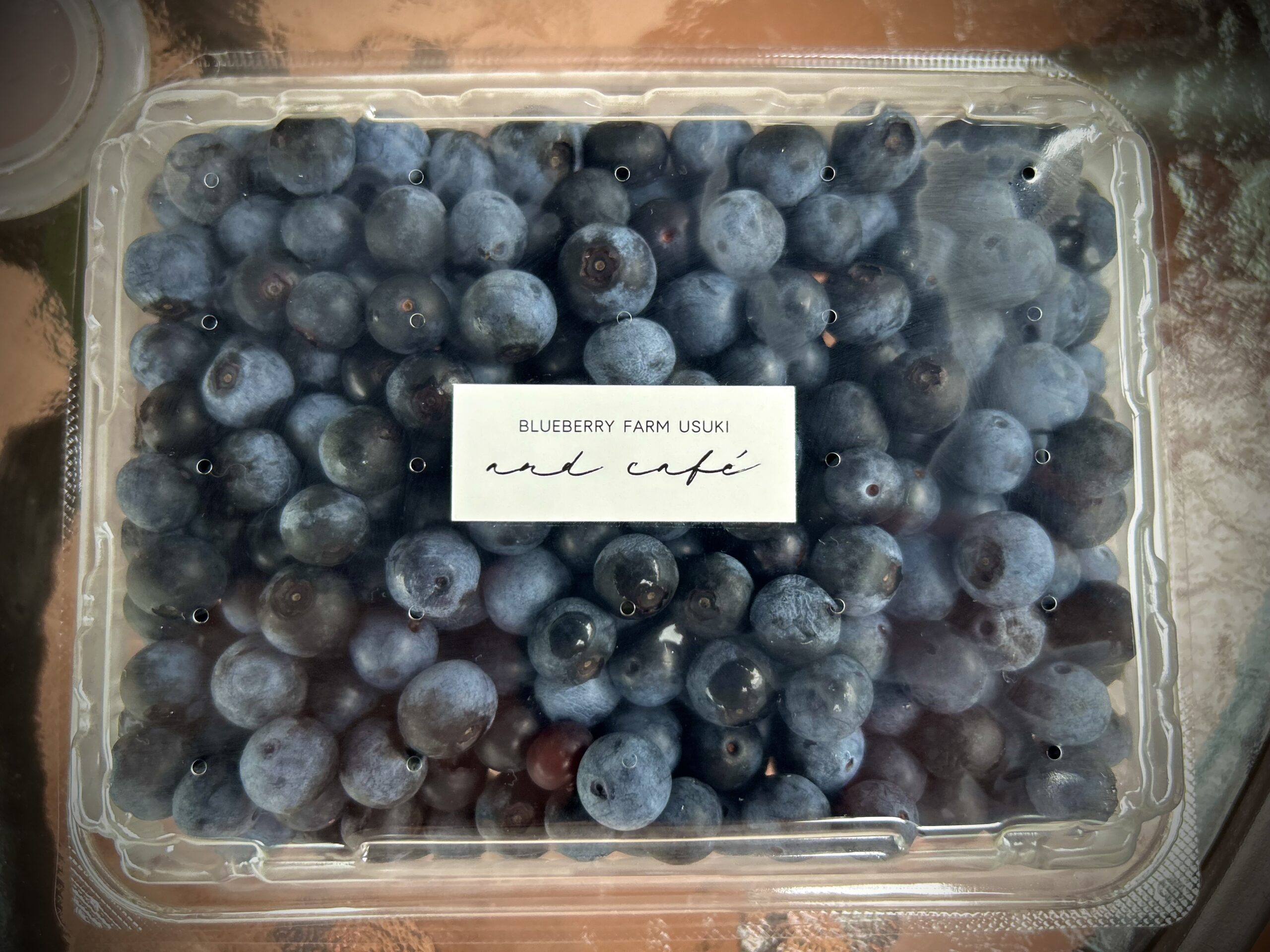 #15 ブルーベリーは“人をつなぐ果物”